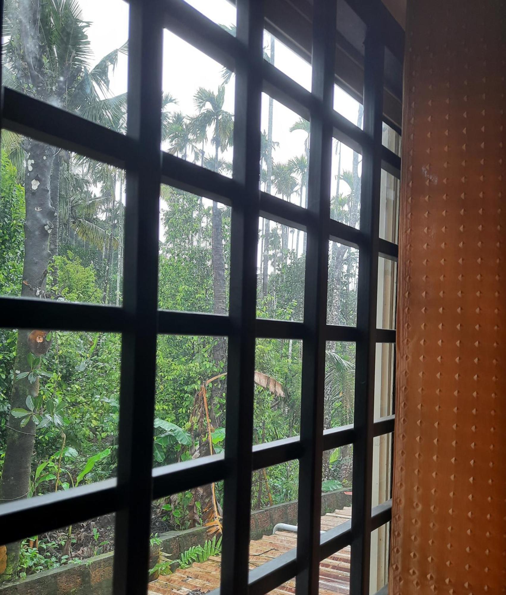 Nest Mdy Apartment Mananthavady Exterior photo